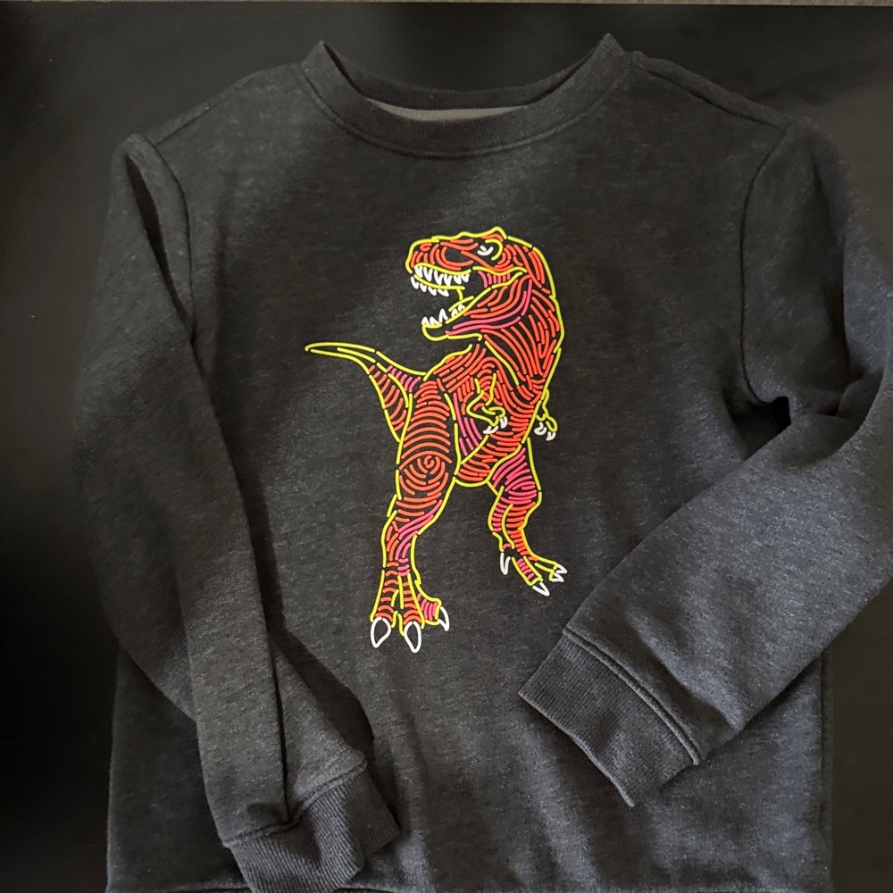 Cat & Jack Gray and Red Dinosaur Sweatshirt